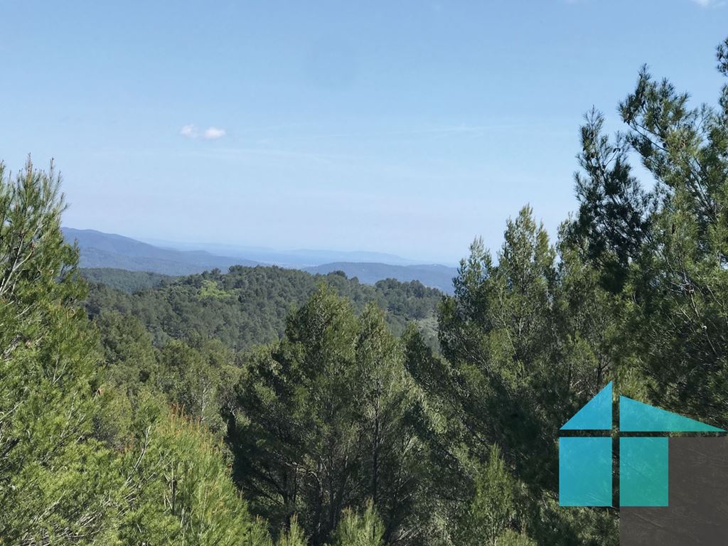 Terrain SOLLIES TOUCAS (83210) ASC IMMO