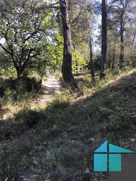 Terrain SOLLIES TOUCAS (83210) ASC IMMO